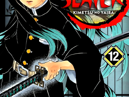 Demon Slayer: Kimetsu No Yaiba, Vol. 12 Online