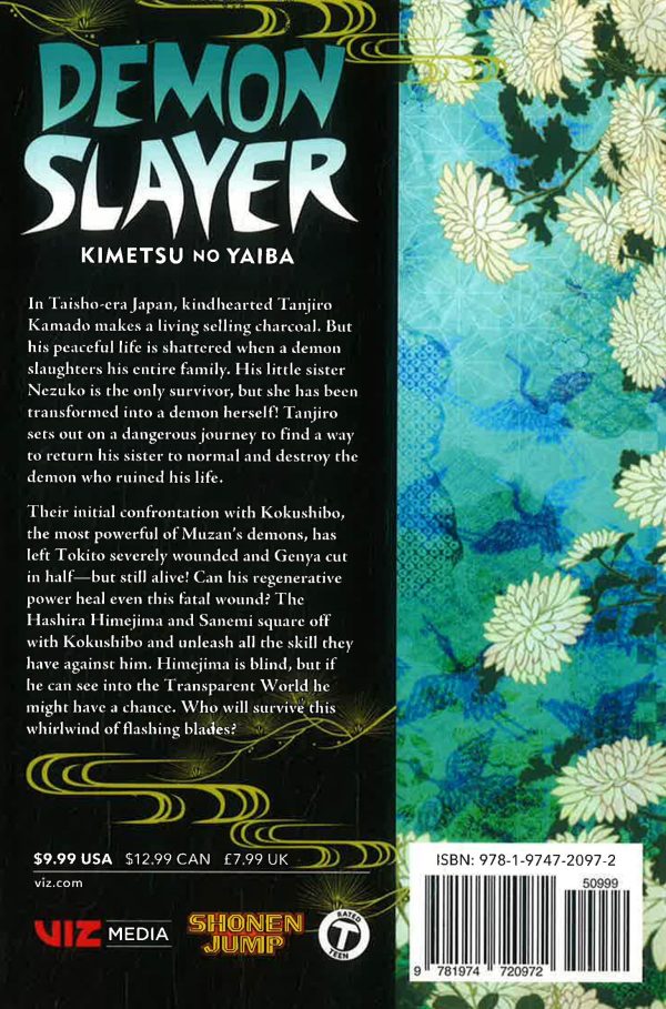 Demon Slayer: Kimetsu No Yaiba, Vol. 20 Online now