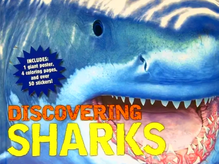 Discovering Sharks Online Sale